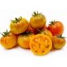 Price: €2.5 - Semillas de tomate Orange Purple Smudge - Seeds Gallery