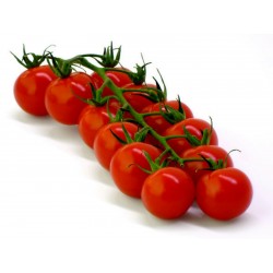 Sementes de tomate orgânico Chadwick Cherry  - 2