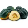 Table Queen Acorn Squash Seeds