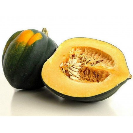 Price: €2.25 - Table Queen Acorn - Eichelkürbiss Samen - Seeds Gallery