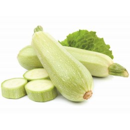 Nasiona cukinii - Lungo Bianco di Sicilia - 216.985714