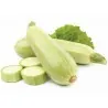 Semillas de Calabacín Blanco Sicilia