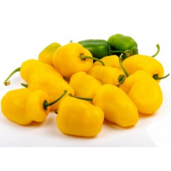 Price: €2.5 - Σπόροι Τσίλι - πιπέρι Rocoto Manzano Cusco Cuzco - 