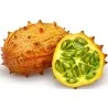 Sementes de pepino-africano, Kiwano (Cucumis metuliferus)