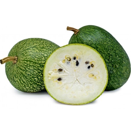 Price: €1.85 - Fikonbladspumpa Frö (Cucurbita ficifolia) -