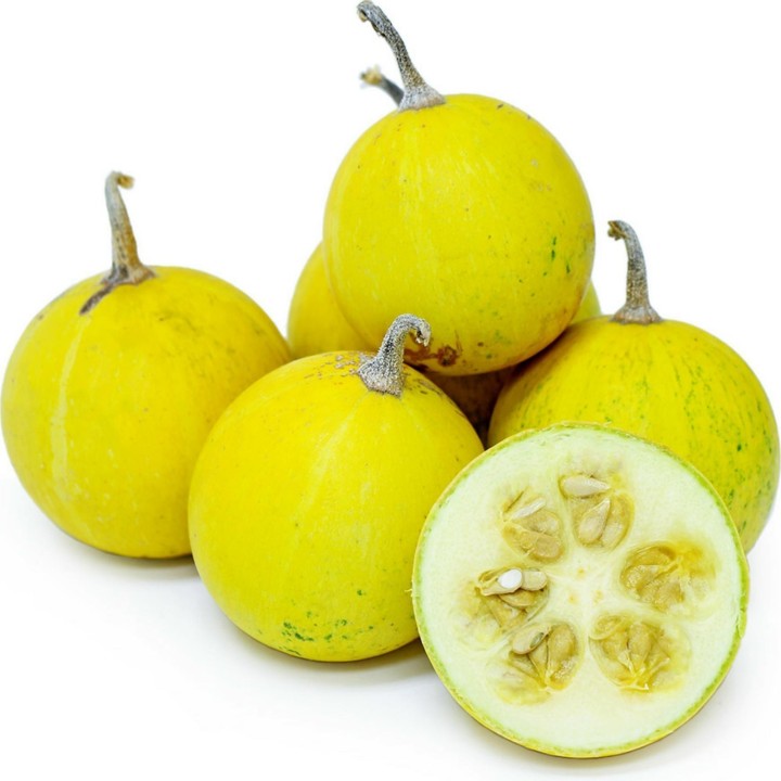 Calabazilla - Buffalo Gourd Seeds (Cucurbita Foetidissima) - 1.845