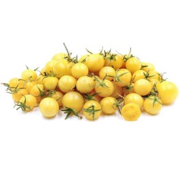 Snövit körsbärstomat Tomatfrön - 205.256756