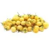 Snow White Cherry Tomatensamen