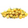 Snow White Cherry Tomat frön | 1,75 €