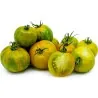 Pomodoro Verde Zebra Semi