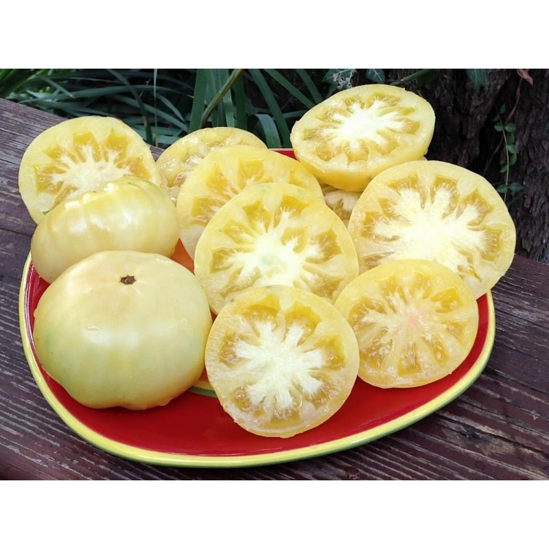 Price: €2.3 - Sementes de tomate Maravilha Branca (White Wonder) - Seeds Gallery