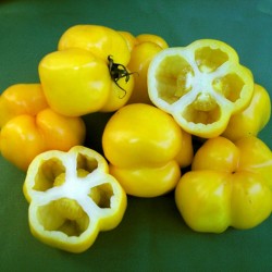 Semillas de tomate Yellow Stuffer  - 2