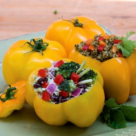 Price: €2 - Yellow Stuffer (Tomatenpaprika) Tomaten Samen - Seeds Gallery
