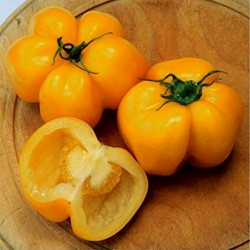 Sementes de tomate Yellow Stuffer  - 4