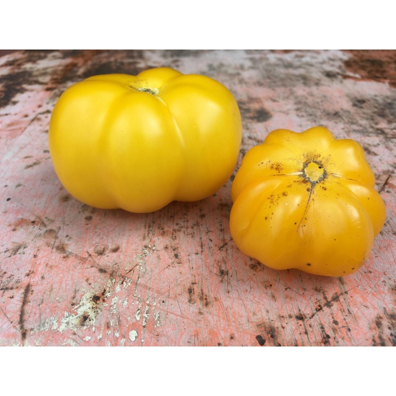 Price: €2 - Yellow Stuffer Tomato Seeds - Seeds Gallery