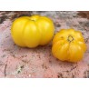 Price: €2 - Yellow Stuffer Tomato Seeds - Seeds Gallery