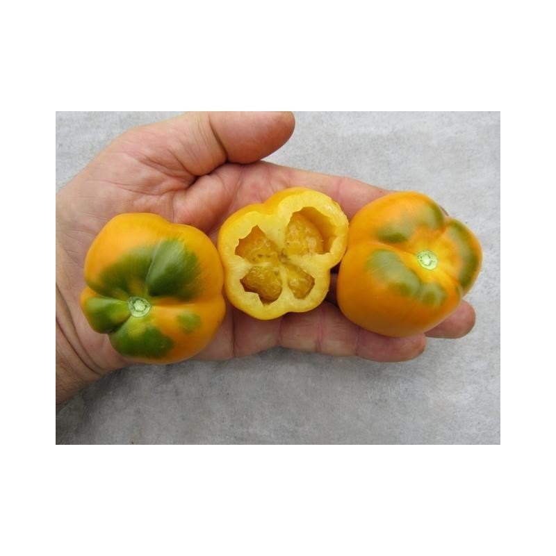 Price: €2 - Yellow Stuffer Tomato Seeds - Seeds Gallery
