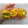 Price: €2 - Yellow Stuffer Tomato Seeds - Seeds Gallery