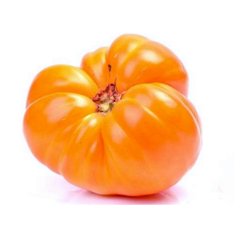 Price: €1.55 - Graines de tomate Coeur De Boeuf Orange - Unbranded