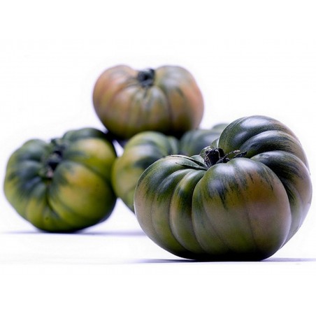 Price: €2.049999 - Tomatfrön RAF - Seeds Gallery