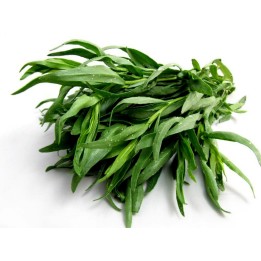 Nasiona estragonu (Artemisia dracunculus) - 263.901544