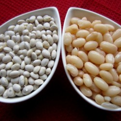 Navy beans Seeds  - 2