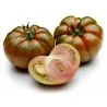 COSTOLUTO PACHINO Σικε. Ντομάτα Σπόροι Heirloom