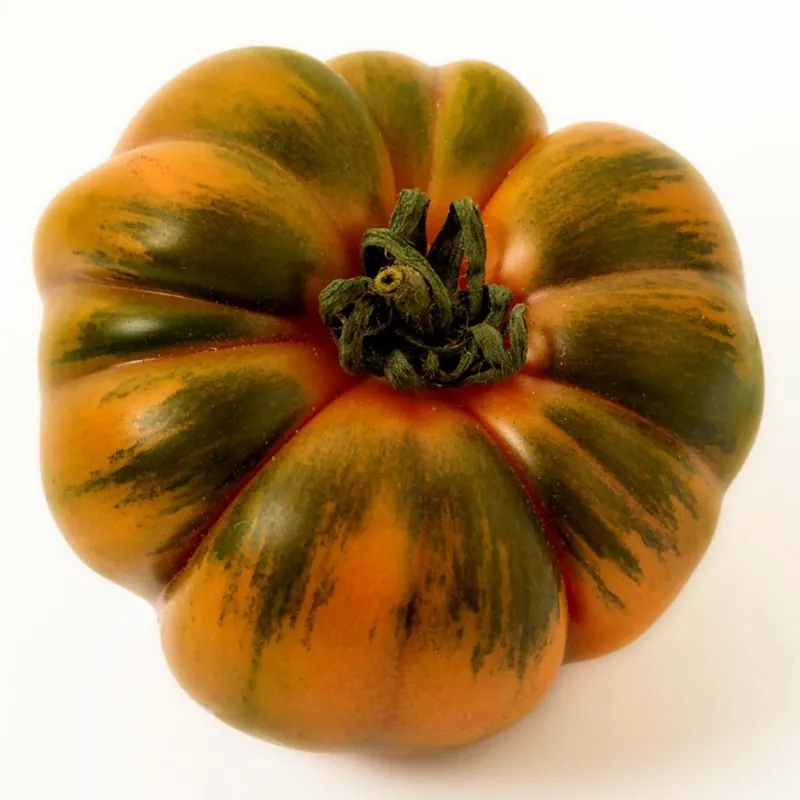 COSTOLUTO PACHINO Σικε. Ντομάτα Σπόροι Heirloom