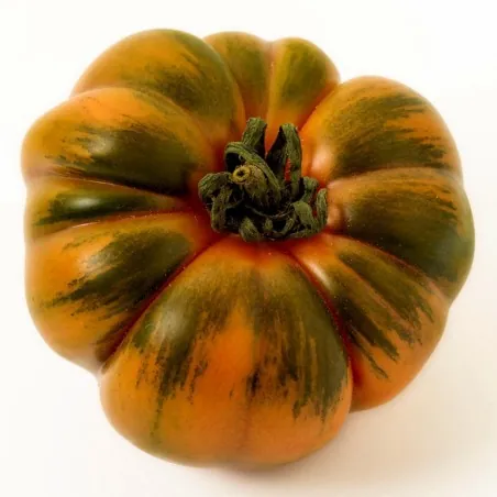 COSTOLUTO PACHINO Σικε. Ντομάτα Σπόροι Heirloom