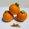 Price: €1.95 - Semillas de calabacín Amarillo Redondo - Seeds Gallery
