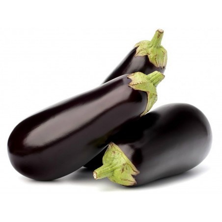 Price: €1.95 - Plavi Patlidzan Seme Domaci Dugi -