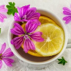 Price: €1.85 - Semillas de malva común (Malva sylvestris mauritanica) - 