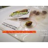 Price: €1.65 - Pistachio Seeds Greek Variety "Aegina" (Pistacia vera) - 