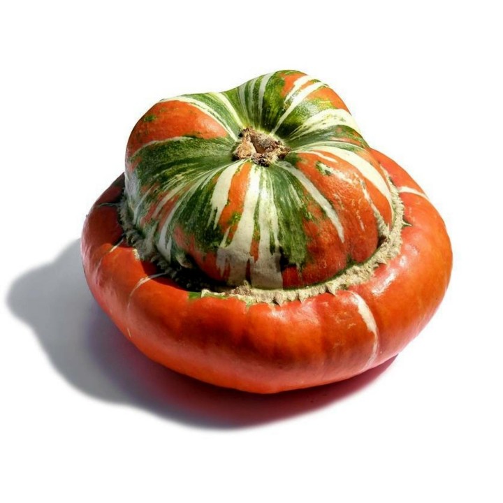 Red Turban Squash Seeds - 1.755