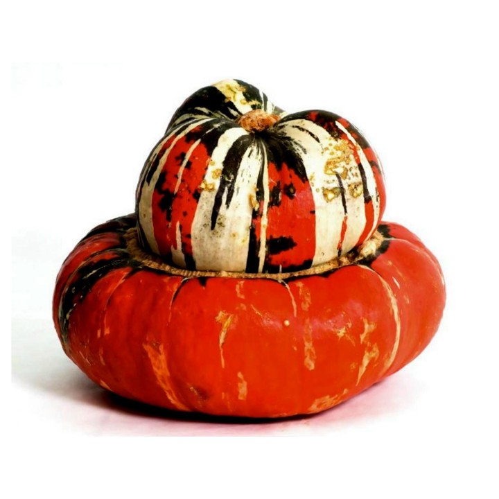 Red Turban Squash Seeds - 1.755