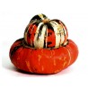 Price: €1.95 - Turban bundeva – tikva seme - 
