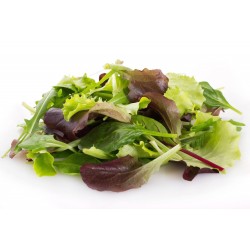 Mischung der besten Salat - Samen  - 1