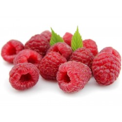 Giant Red Raspberry Seeds  - 2
