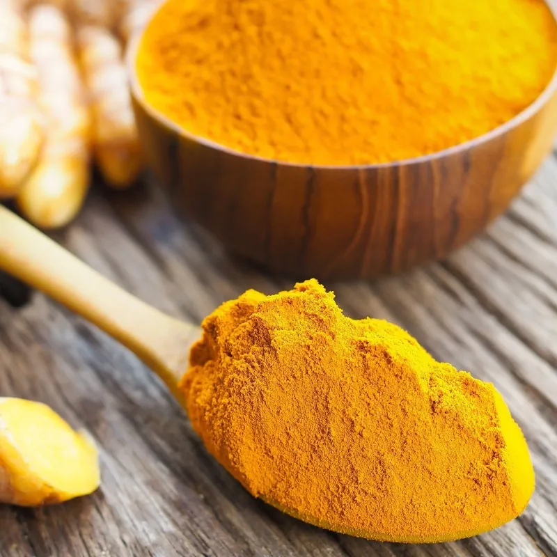 Curcuma épice - émincé (Curcuma longa)