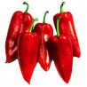 Price: €1.75 - Semi di peperone serbo Prizrenka - Unbranded