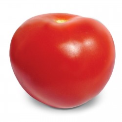 Graines de tomates hybrides de haute qualité Lider F1  - 1