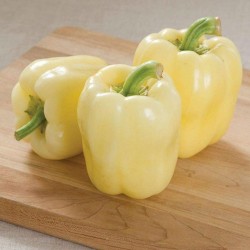 Price: €2.65 - Semillas de pimiento blanco BELINDA - 