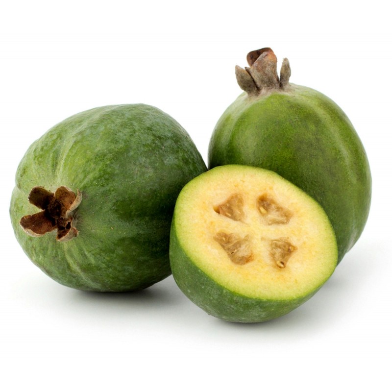 Sweet Yellow Fruits Guava 10 Seeds