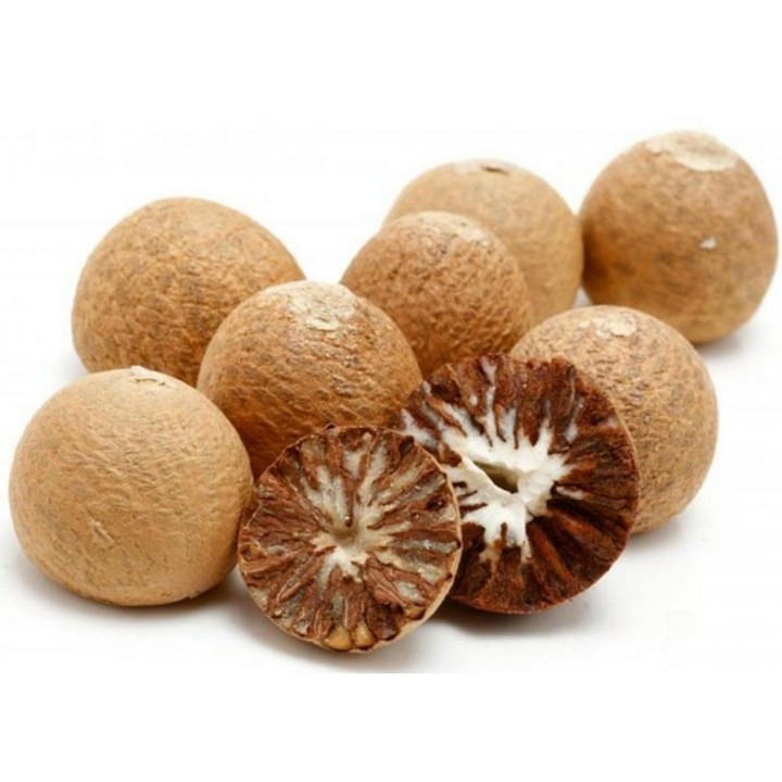 Areca Nut Palm, Betel Palm Seeds (Areca catechu) - 4.365