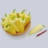 Semillas de pimiento dulce húngaro Syn. Cecei