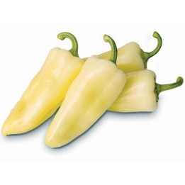 Sementes de pimenta húngara Syn. Cecei - 1.755