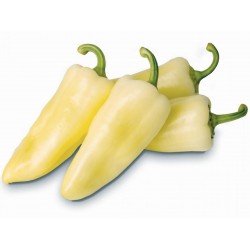 Price: €1.95 - Sementes de pimenta húngara Syn. Cecei - 
