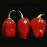 Chili Numex Suave Red Seeds | € 1,90
