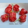 Graines de Piments Numex Suave Red