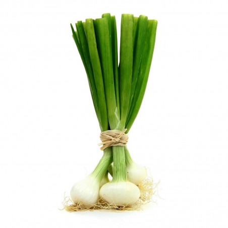 Price: €1.95 - White Lisbon Bunching Onion Seeds (Allium cepa) -